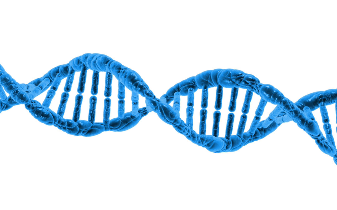 How Genetic Profiling Can Give Your Leadership An Unfair Advantage
