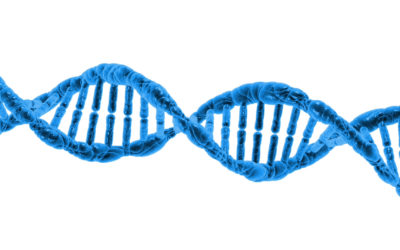 How Genetic Profiling Can Give Your Leadership An Unfair Advantage