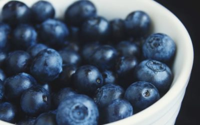 Microwaving Increases Anti-Oxidants In Blueberries