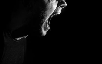 Five Ways Anger Sabotages Your Performance As A CEO